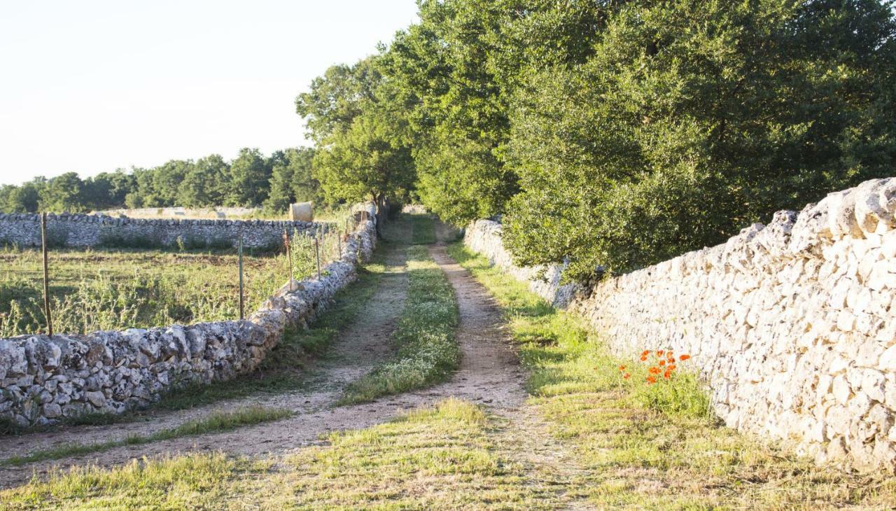 Villa Trulli Sul Vignale In Masseria Santalachicca Martina Franca Exterior foto